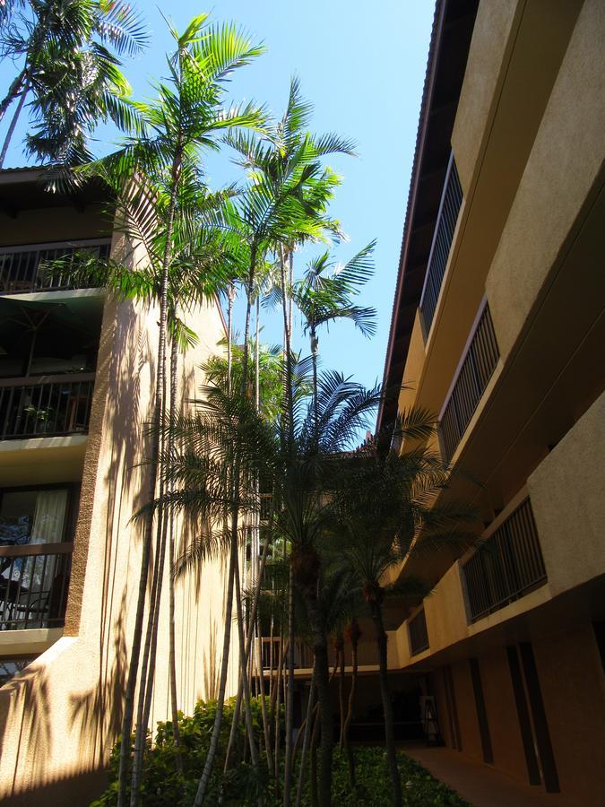 Maui-Licious By The Beach Кихей Экстерьер фото